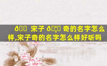 🐠 宋子 🦁 奇的名字怎么样,宋子奇的名字怎么样好听吗